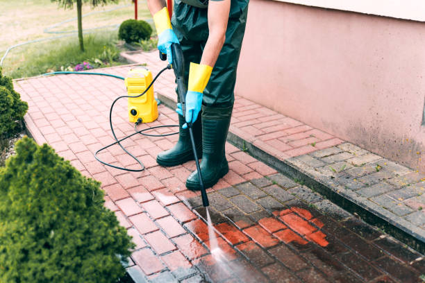 Best Soft Washing  in Iraan, TX